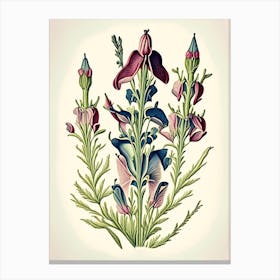 Beardtongue Wildflower Vintage Botanical Canvas Print