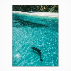 Dolphin In The Ocean Canvas Print