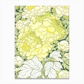 Sarah Bernhardt Peonies Yellow 2 Drawing Canvas Print