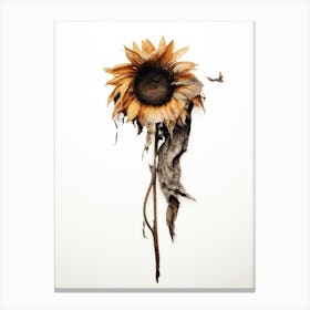 Dead Sunflower 2 Canvas Print