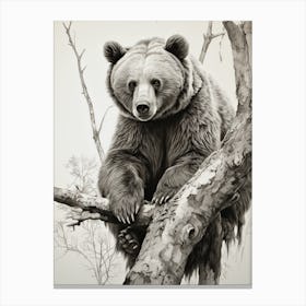 Bear In Tree Canvas Print