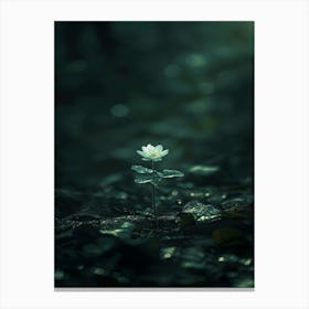 Lotus Flower 58 Canvas Print