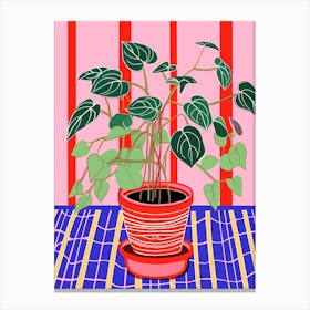 Pink And Red Plant Illustration Rubber Plant Tineke Ficus 5 Canvas Print