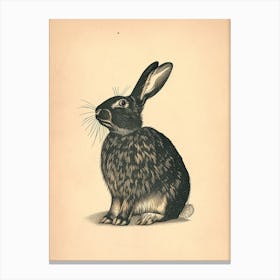 American Sable Blockprint Rabbit Illustration 5 Canvas Print