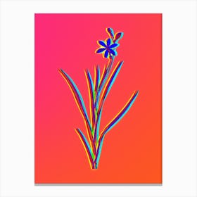 Neon Ixia Anemonae Flora Botanical in Hot Pink and Electric Blue n.0153 Canvas Print