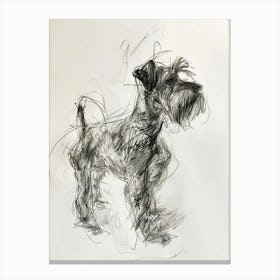 Minature Schnauzer Dog Charcoal Line 2 Canvas Print