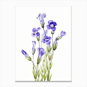 Watercolor Of Purple Flowers Canvas Print