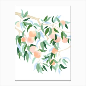 Mediterranean Plant Peach Tree Botanical Painting Canvas Print