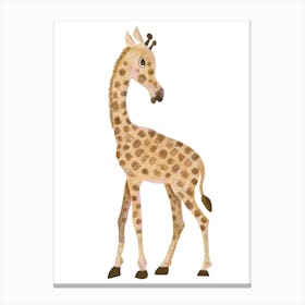 The Giraffe Canvas Print