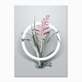 Vintage Pitcairnia Bromeliaefolia Minimalist Botanical Geometric Circle on Soft Gray n.0008 Canvas Print