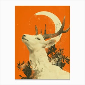 Deer Canvas Print Canvas Print