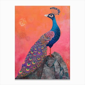 Colourful Peacock On A Rock 1 Canvas Print