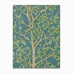 Quercus Velutina tree Vintage Botanical Canvas Print