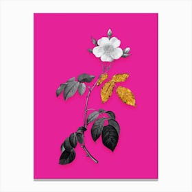 Vintage Big Leaved Climbing Rose Black and White Gold Leaf Floral Art on Hot Pink Canvas Print