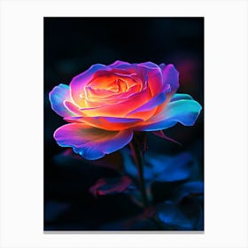 Colorful Rose 1 Canvas Print