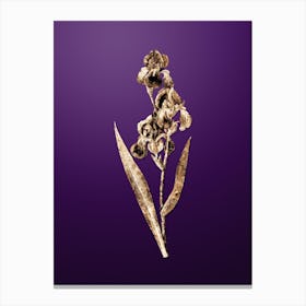 Gold Botanical Dalmatian Iris on Royal Purple n.0251 Canvas Print