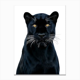 Black Panther 2 Canvas Print