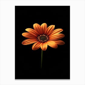 Gerbera Daisy 12 Canvas Print