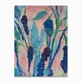 Boysenberry Classic Fruit Canvas Print