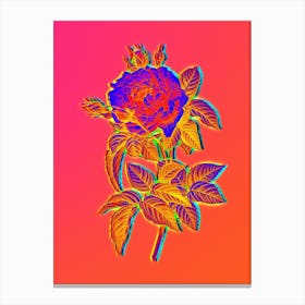 Neon Pink French Rose Botanical in Hot Pink and Electric Blue Canvas Print