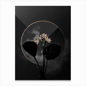 Shadowy Vintage Cardwell Lily Botanical on Black with Gold n.0062 Canvas Print