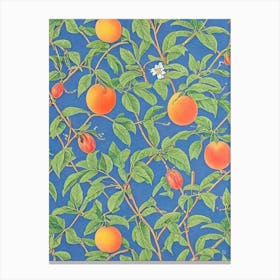 Nectarine tree Vintage 2 Botanical Canvas Print