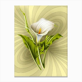 Calla Lily with curves background Canvas Print