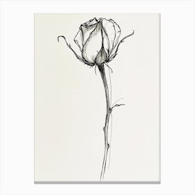 English Rose Black And White Line Drawing 29 Canvas Print