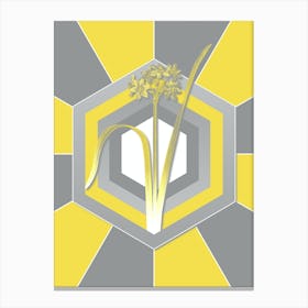 Vintage Cowslip Cupped Daffodil Botanical Geometric Art in Yellow and Gray n.427 Canvas Print