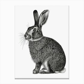 Belgian Hare Blockprint Illustration 2 Canvas Print
