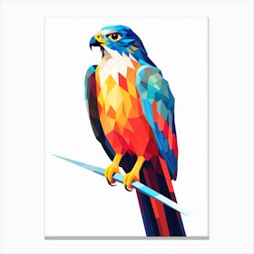 Colourful Geometric Bird Falcon 1 Canvas Print