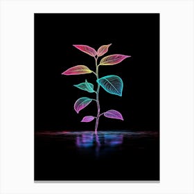 Neon Plant On Black Background Canvas Print