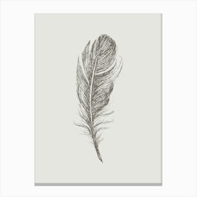 Grey Feather Print 5 Canvas Print