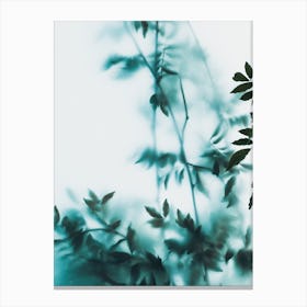 Blue Leaves On Frosted Glass Canvas Print