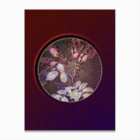 Abstract Crimson Evrat's Rose Botanical Illustration n.0238 Canvas Print