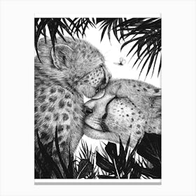 Cheetah Love Canvas Print