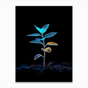 Plant Growing In The Dark 21 Canvas Print