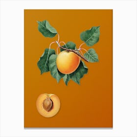 Vintage German Apricot Botanical on Sunset Orange n.0052 Canvas Print