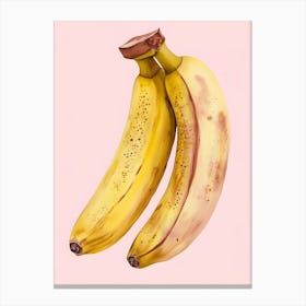 Bananas 6 Canvas Print