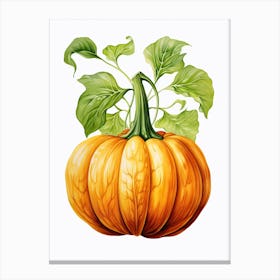 Turban Squash Pumpkin Watercolour Illustration 1 Canvas Print