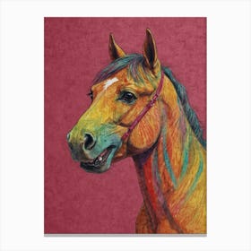 Colorful Horse 3 Canvas Print