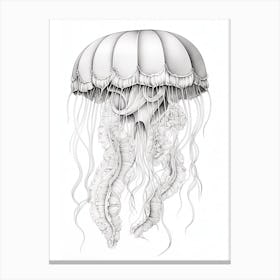 Lions Mane Jellyfish Drawing1 Canvas Print