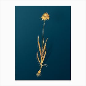 Vintage Orange Ixia Botanical in Gold on Teal Blue n.0090 Canvas Print