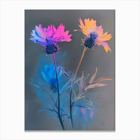 Iridescent Flower Cornflower 1 Canvas Print