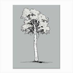 Birch Tree Minimalistic Drawing 3 Canvas Print