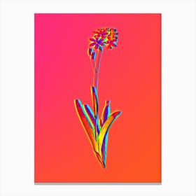 Neon Corn Lily Botanical in Hot Pink and Electric Blue n.0188 Canvas Print