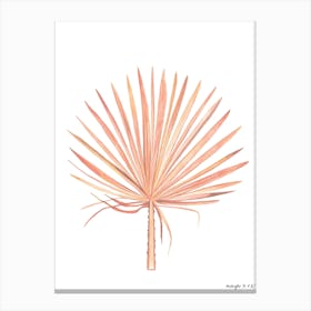 Palm Leaf Canvas Print