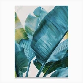 Tropical Leaves 85 Canvas Print