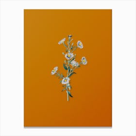Vintage Glaucous Aster Flower Botanical on Sunset Orange Canvas Print