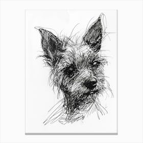 Australian Terrier Line Sketch 3 Canvas Print